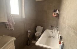 Duplex, Mosnita Noua, sat Urseni, 123 mp, 264 mp teren, mobilat-utilat