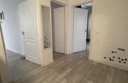 Duplex, Mosnita Noua, sat Urseni, 123 mp, 264 mp teren, mobilat-utilat