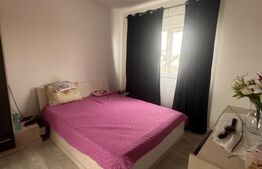 Duplex, Mosnita Noua, sat Urseni, 123 mp, 264 mp teren, mobilat-utilat