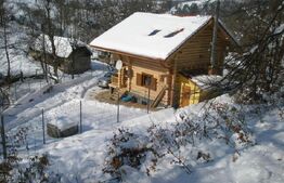 Cabana, 3 camere, 80 mp, localizata la 100 km de Timisoara 