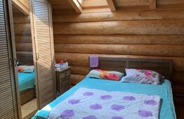 Cabana, 3 camere, 80 mp, localizata la 100 km de Timisoara 