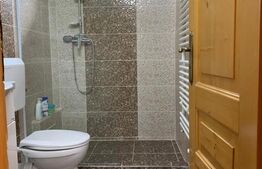 Cabana, 3 camere, 80 mp, localizata la 100 km de Timisoara 