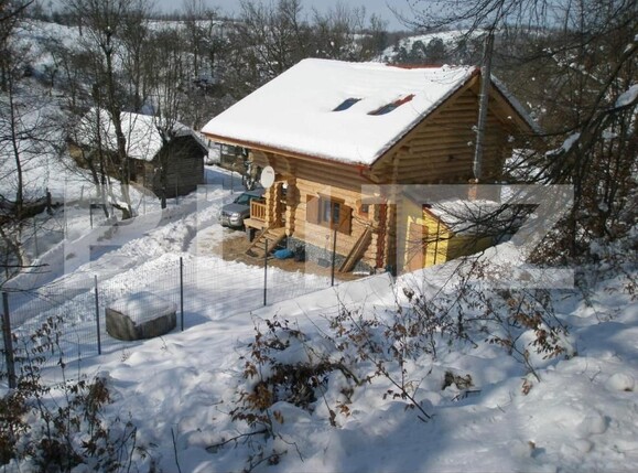 Casa de vânzare 3 camere Exterior Est - 168577CV | BLITZ Timișoara | Poza4