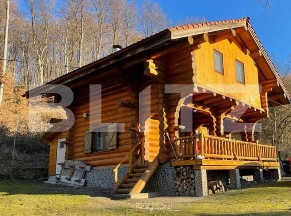 Casa de vânzare 3 camere Exterior Est - 168577CV | BLITZ Timișoara | Poza1