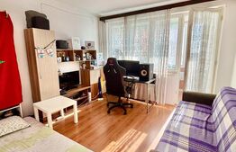 Apartament decomandat cu o camera,  Zona Centrala, Timisoara