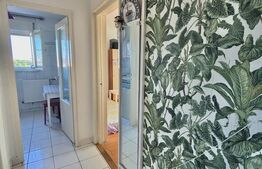 Apartament decomandat cu o camera,  Zona Centrala, Timisoara