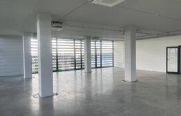 🏢 Spații de Birouri Premium de Închiriat | Moșnița Veche| Suprafațe Flexibile 