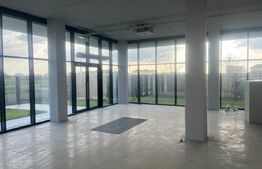 Spațiu birouri de închiriat Central - 183739SIB | BLITZ Timișoara | Poza1