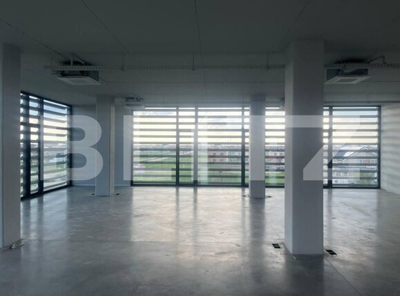 Spațiu birouri de închiriat Mosnita Veche - 168653SIB | BLITZ Timișoara | Poza4