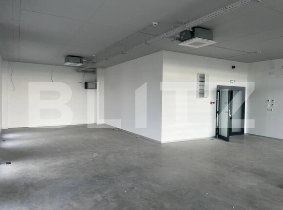 Spațiu birouri de închiriat Mosnita Veche - 168653SIB | BLITZ Timișoara | Poza5