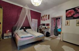 Casa cu 4 camere, 140 mp, acces auto, 902 mp teren, zona Bogdanestilor