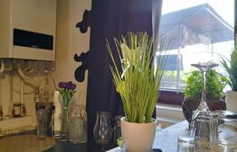 Casa cu 4 camere, 140 mp, acces auto, 902 mp teren, zona Bogdanestilor