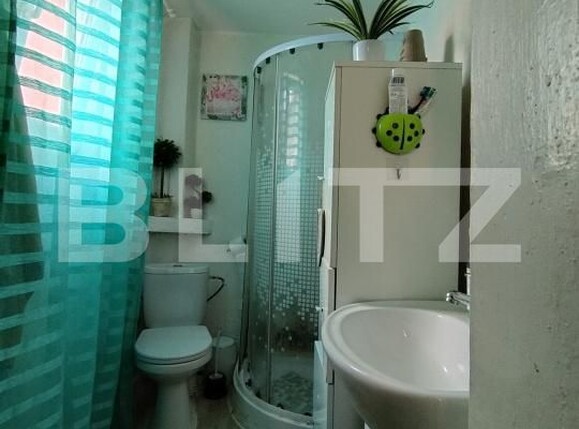 Casa de vânzare 4 camere Ronat - 168758CV | BLITZ Timișoara | Poza8