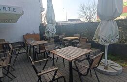 Casa cu vad si afacere, 2 camere, 52 mp+teren de 292 mp, Timisoara