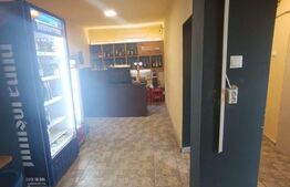 Casa cu vad si afacere, 2 camere, 52 mp+teren de 292 mp, Timisoara