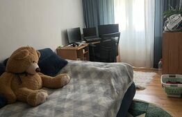 Apartament de vanzare la curte, 4 camere, 108 mp, zona Dambovita