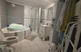 Apartament de vanzare la curte, 4 camere, 108 mp, zona Dambovita