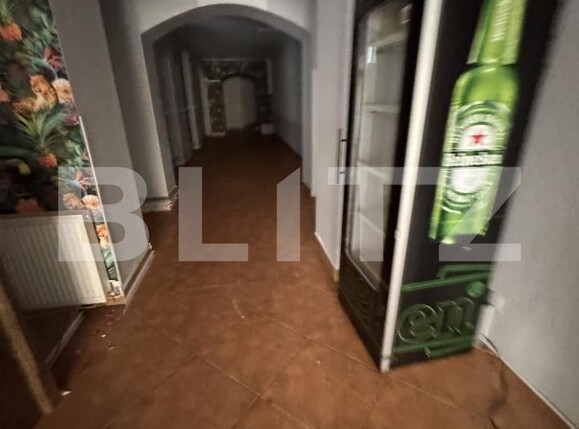 Spațiu comercial de vânzare P-ta Unirii - 169190SVC | BLITZ Timișoara | Poza9