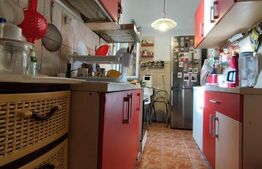 Cladire istorica, 5 camere, 145 mp, terasa, Iosefin/Sinaia