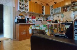 Cladire istorica, 5 camere, 145 mp, terasa, Iosefin/Sinaia