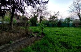 Cladire istorica, 5 camere, 145 mp, terasa, Iosefin/Sinaia