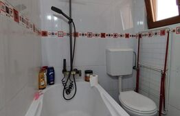 Apartament de vanzare cu 2 camere, 62 mp, zona Iosefin