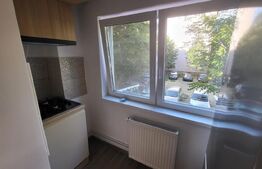 Apartament de inchiriat, cu 2 camere, decomandat, 56 mp, zona Lipovei