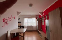Apartament de vanzare, cu 3 camere, 42 mp, zona Sagului-Doina