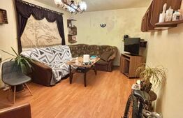 Apartament cu 2 camere, Zona Colegiu Banatean