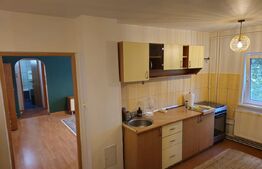 Apartament 2 camere zona Bucovina