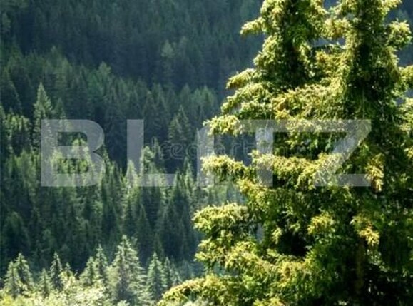 Teren de vânzare Exterior Sud - 170637TV | BLITZ Timișoara | Poza1