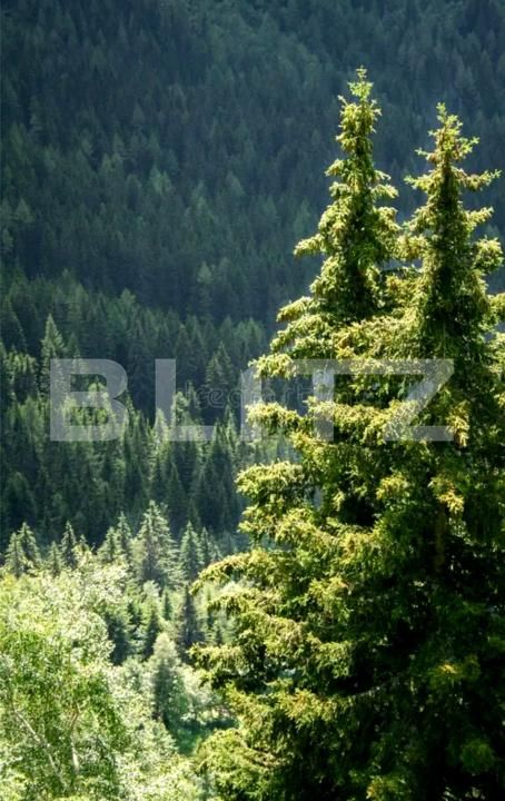 Teren de vânzare Exterior Sud - 170637TV | BLITZ Timișoara | Poza1