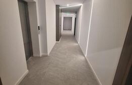 Apartament de vanzare, cu o camera, 40 mp, zona Calea Torontalului 