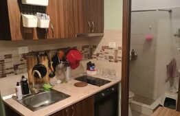 Garsoniera, de vanzre, 20 mp, zona Piata Balcescu