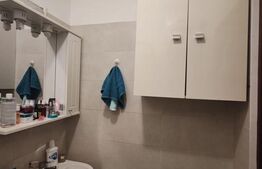 Garsoniera, de vanzre, 20 mp, zona Piata Balcescu