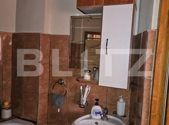 Garsonieră de vânzare Buziasului - 170812AV | BLITZ Timișoara | Poza2