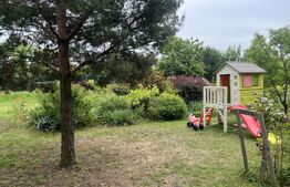 Spațiu Versatil în Dumbrăvița – Ideal pentru After School, Wellness Center