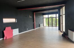 Spațiu Versatil în Dumbrăvița – Ideal pentru After School, Wellness Center