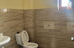 Spațiu Versatil în Dumbrăvița – Ideal pentru After School, Wellness Center