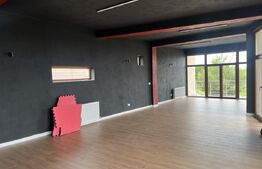 Spațiu Versatil în Dumbrăvița – Ideal pentru After School, Wellness Center