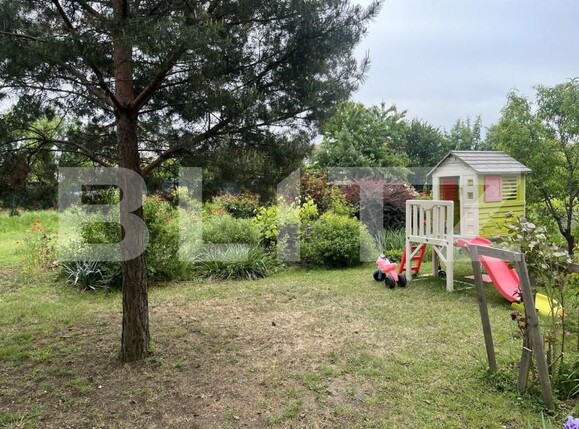 Spațiu comercial de închiriat Dumbravita - 170824SIC | BLITZ Timișoara | Poza6