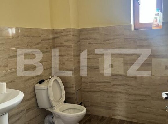 Spațiu comercial de închiriat Dumbravita - 170824SIC | BLITZ Timișoara | Poza4