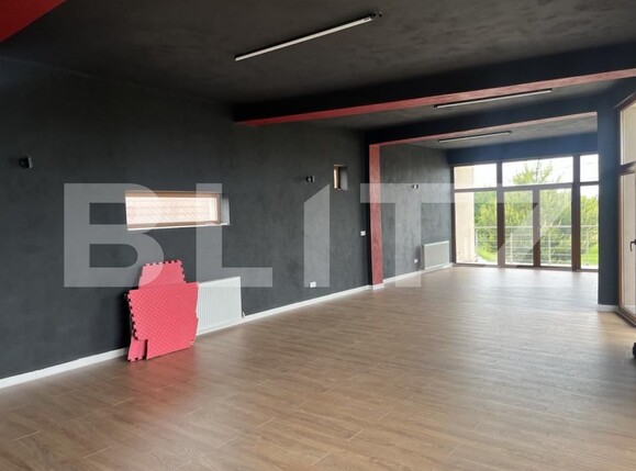 Spațiu comercial de închiriat Dumbravita - 170824SIC | BLITZ Timișoara | Poza1