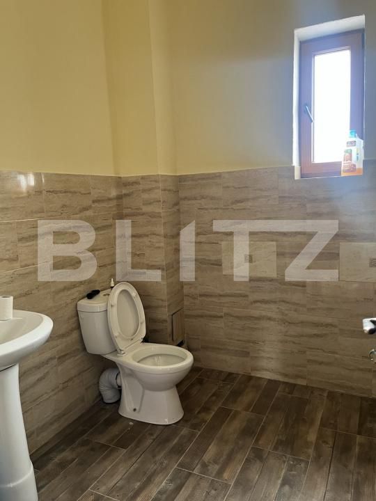 Spațiu comercial de închiriat Dumbravita - 170824SIC | BLITZ Timișoara | Poza4