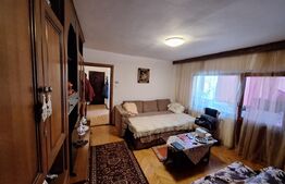 Apartament de vanzare, cu 2 camere, bloc izolat, 56 mp, zona Aradului