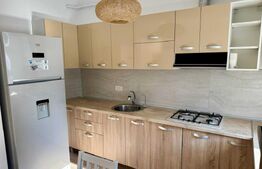 Apartament cochet cu curte și terasă în Dumbrăvița – gata să te simți acasă!