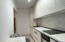 Apartament de vanzare, cu o camera, 40 mp, zona Torontalului