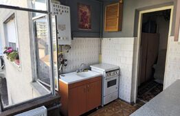  apartament de vanzare, cu o camera, 40 mp, zona Take Ionescu