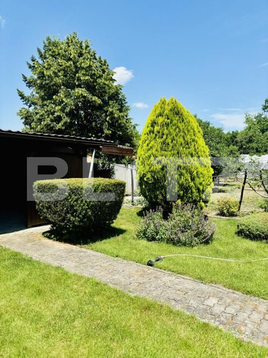 Casa de vânzare 5 camere Lipovei - 171556CV | BLITZ Timișoara | Poza13