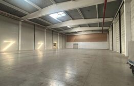 Hală industrială de vânzare – 3.045 mp construiți, facilități complete!